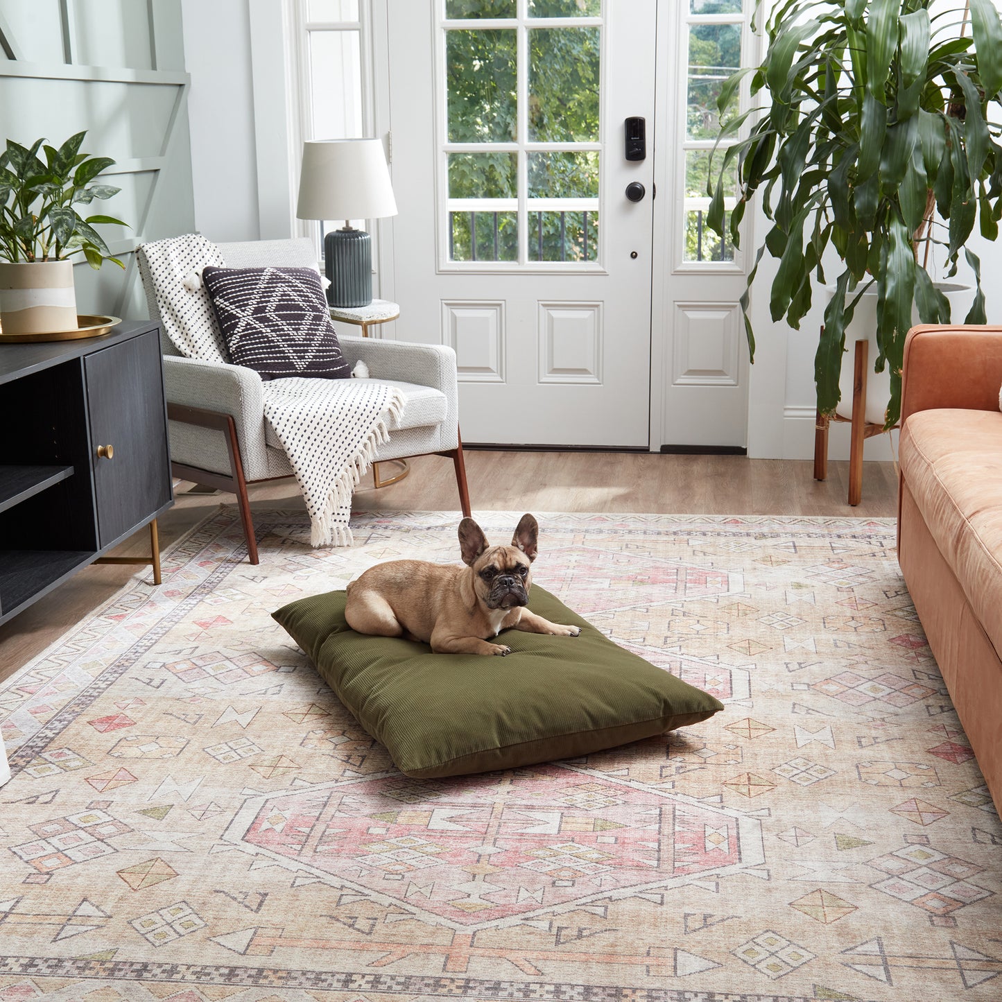 Charlie Throw Dog Bed