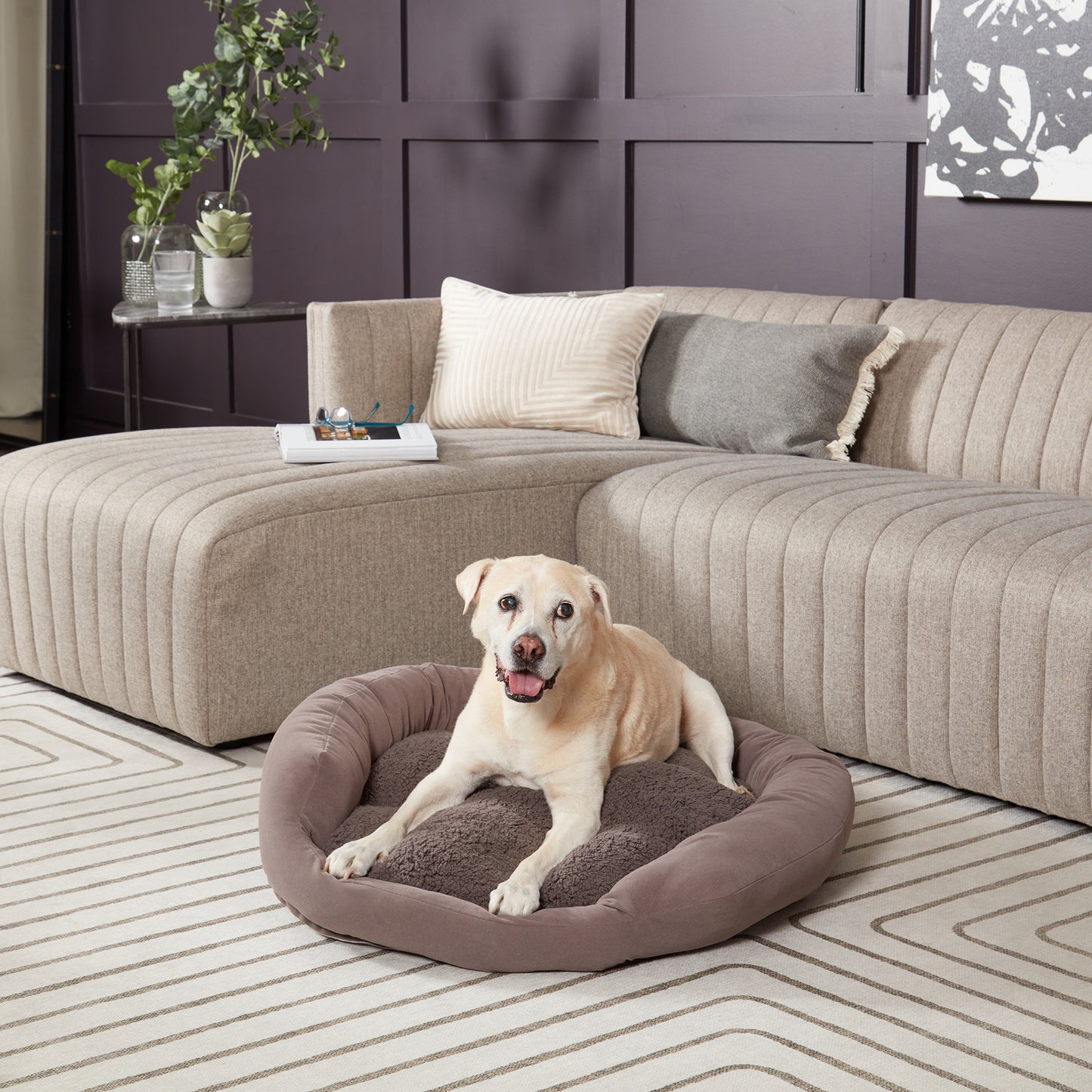 Murphy Donut Dog Bed