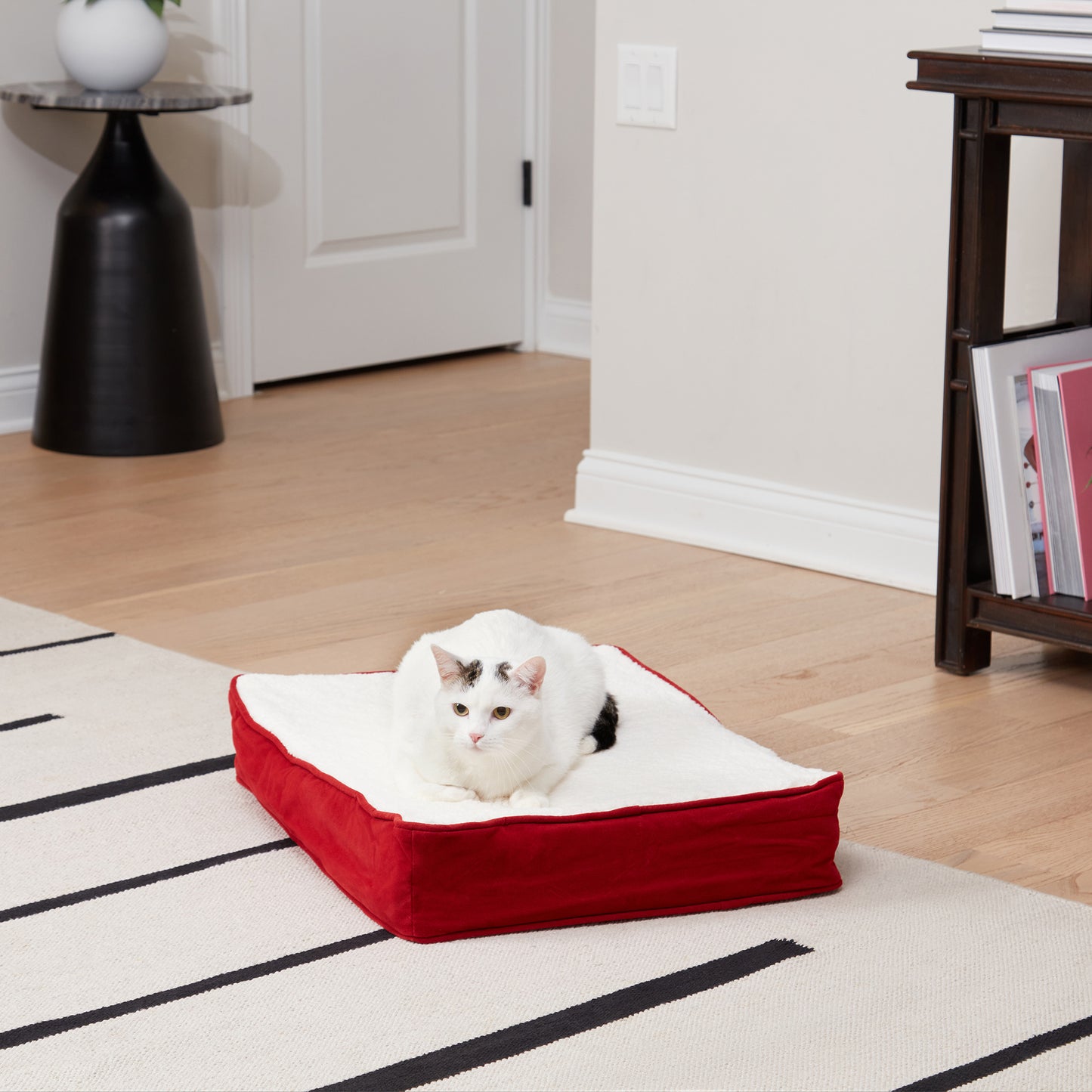 Bella Orthopedic Cat Bed