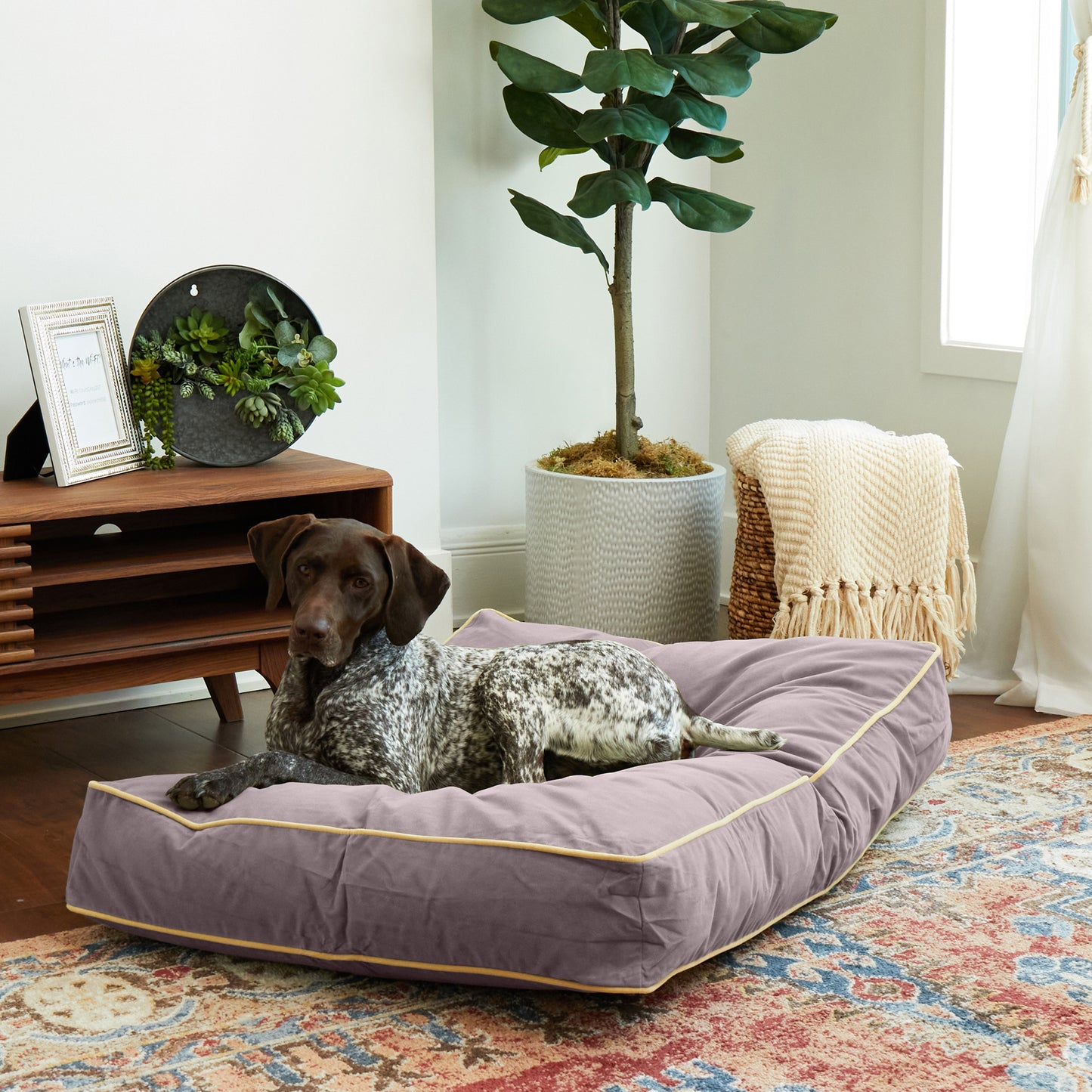 Buster Rectangle Microfiber Pillow Dog Bed