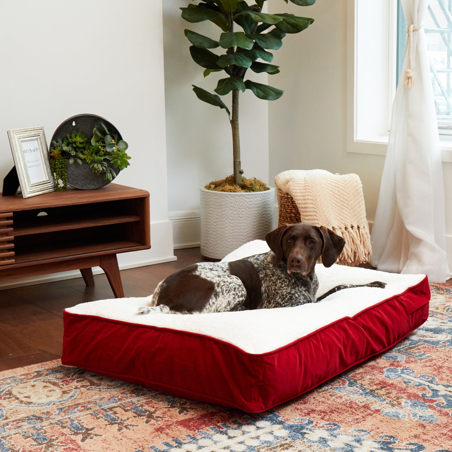 Buster Rectangle Sherpa Top Pillow Dog Bed