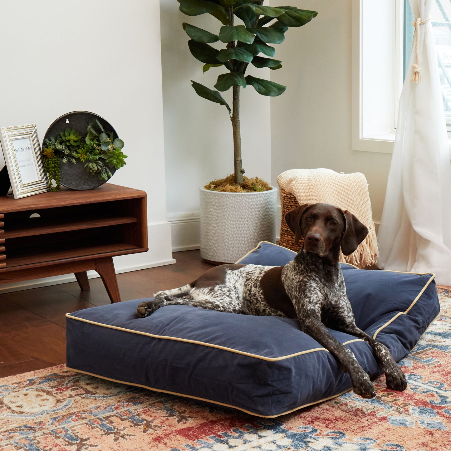 Buster Rectangle Microfiber Pillow Dog Bed