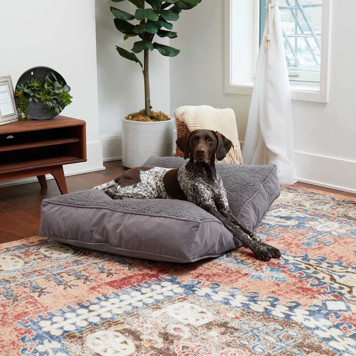 Buster Rectangle Sherpa Top Pillow Dog Bed