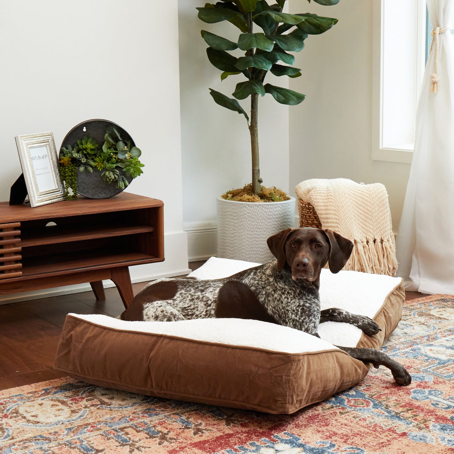 Buster Rectangle Sherpa Top Pillow Dog Bed