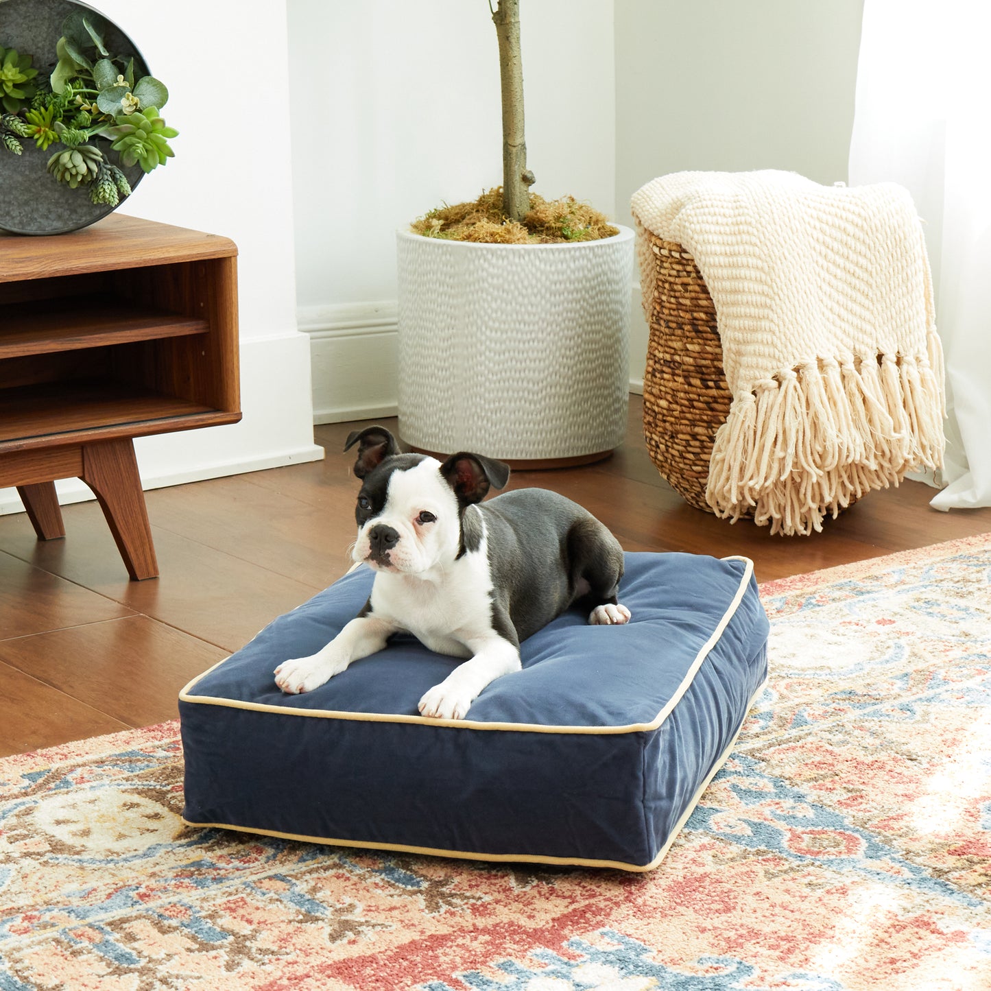 Buster Rectangle Microfiber Pillow Dog Bed