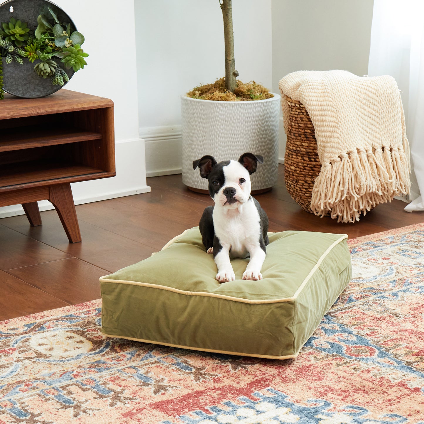 Buster Rectangle Microfiber Pillow Dog Bed