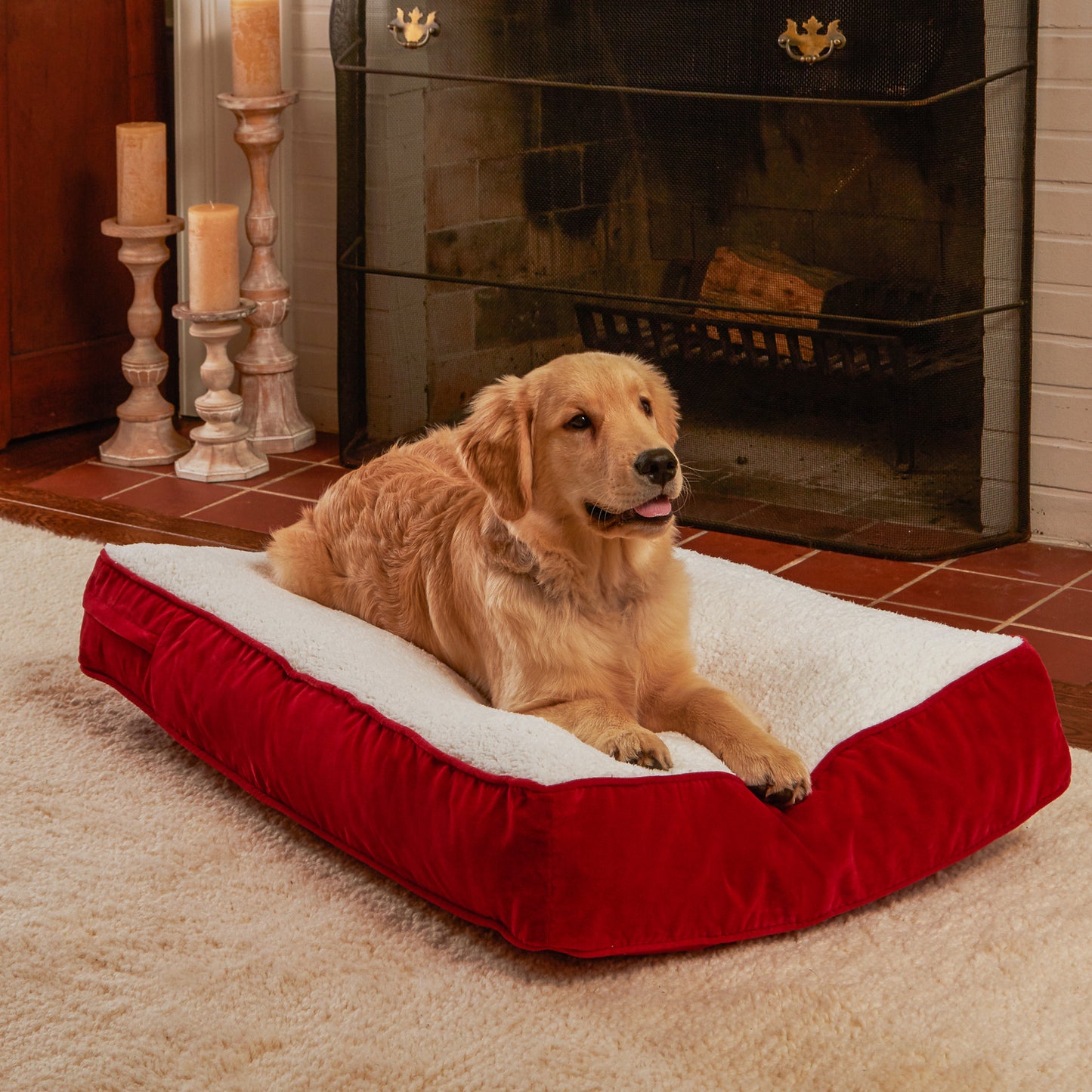 Buster Rectangle Sherpa Top Pillow Dog Bed