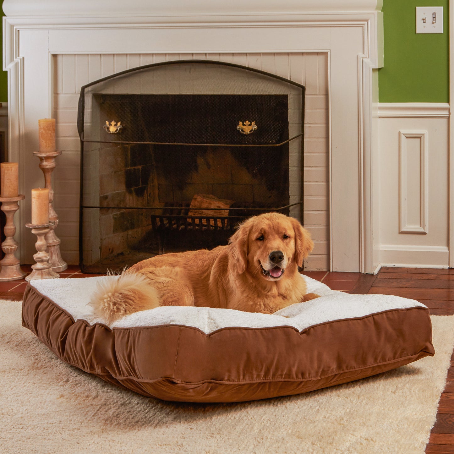 Buster Rectangle Sherpa Top Pillow Dog Bed