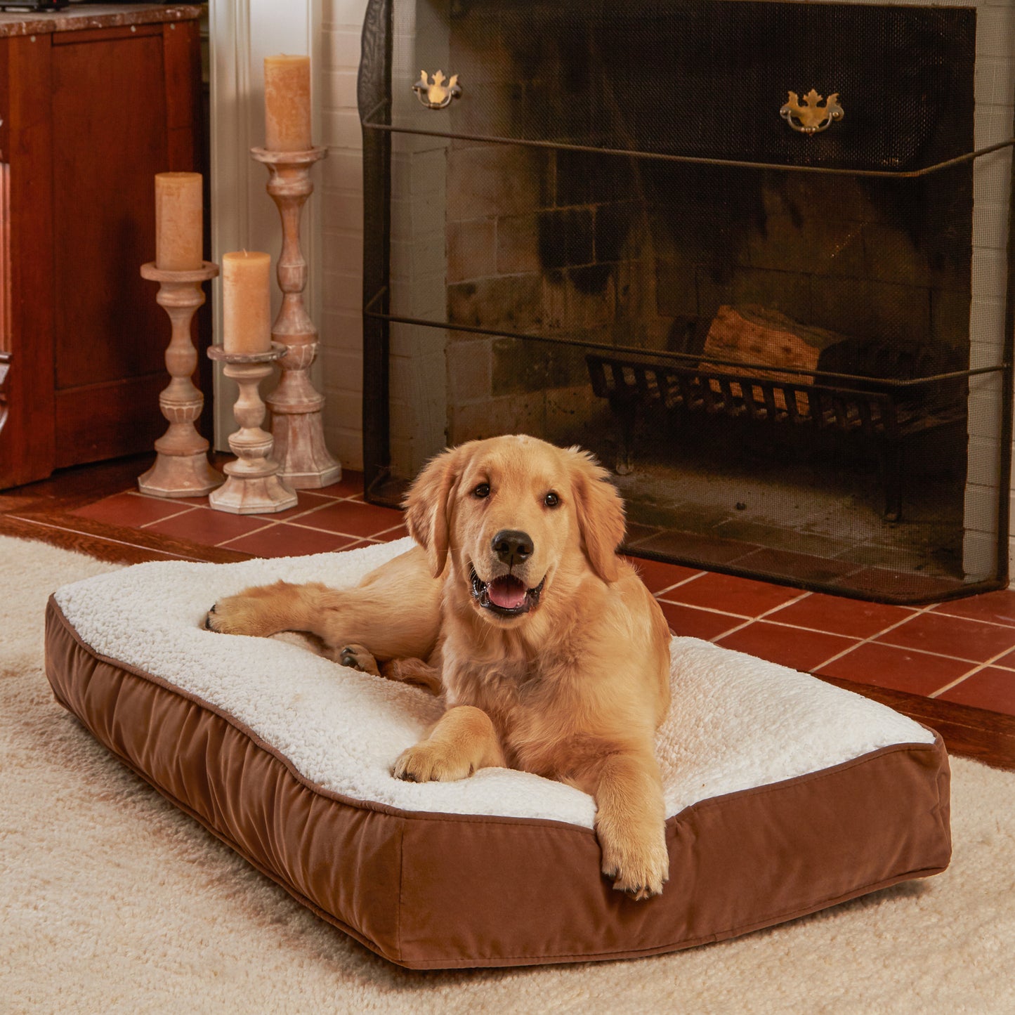 Buster Rectangle Sherpa Top Pillow Dog Bed