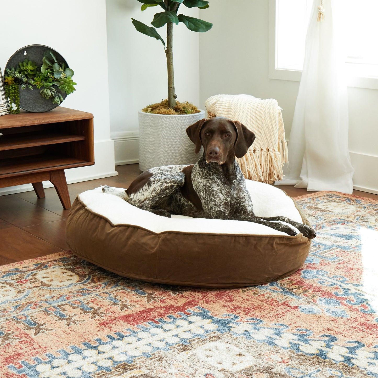 Scout Deluxe Round Pillow Dog Bed