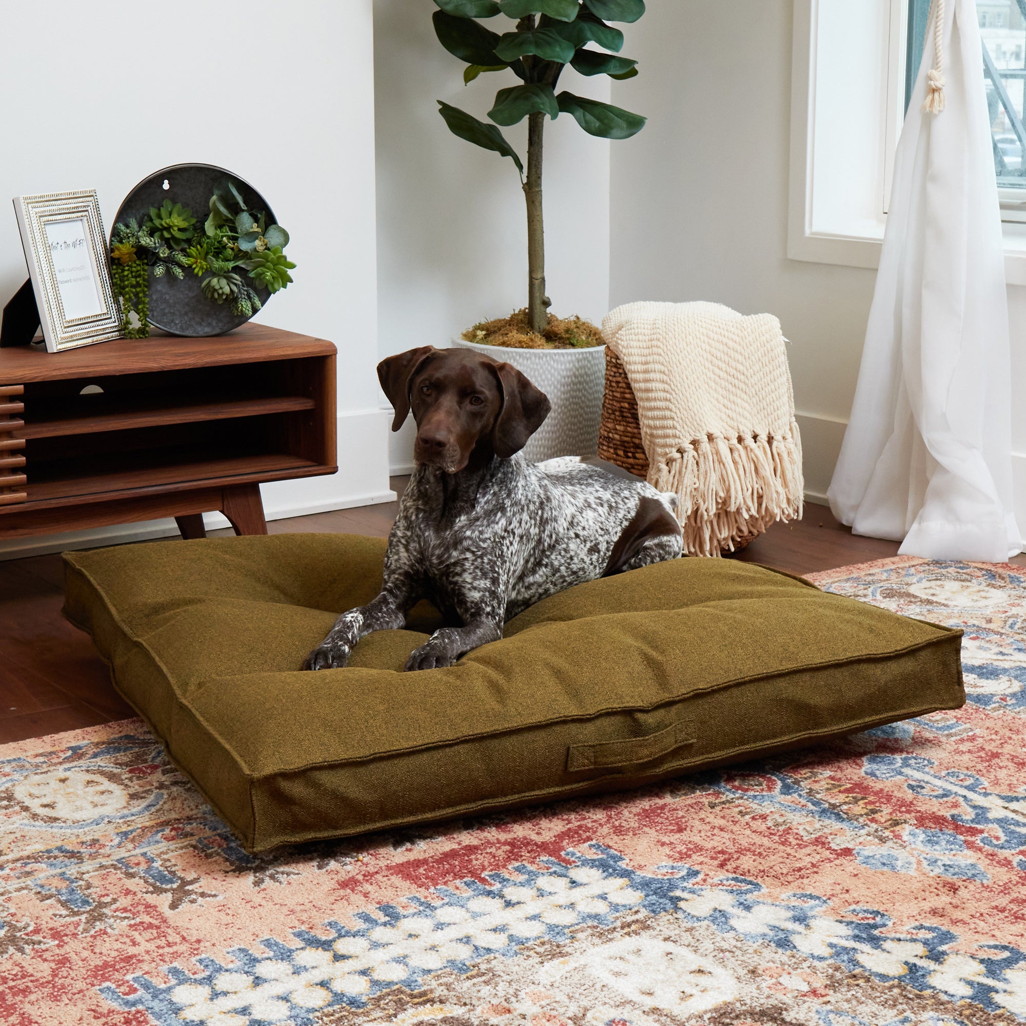 How to choose the right Happy Hounds Pet Bed for your pet?