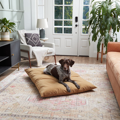 Charlie Throw Dog Bed REPLACEMENT COVER
