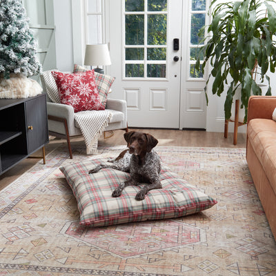 Charlie Throw Dog Bed REPLACEMENT COVER