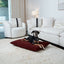 Charlie Throw Dog Bed