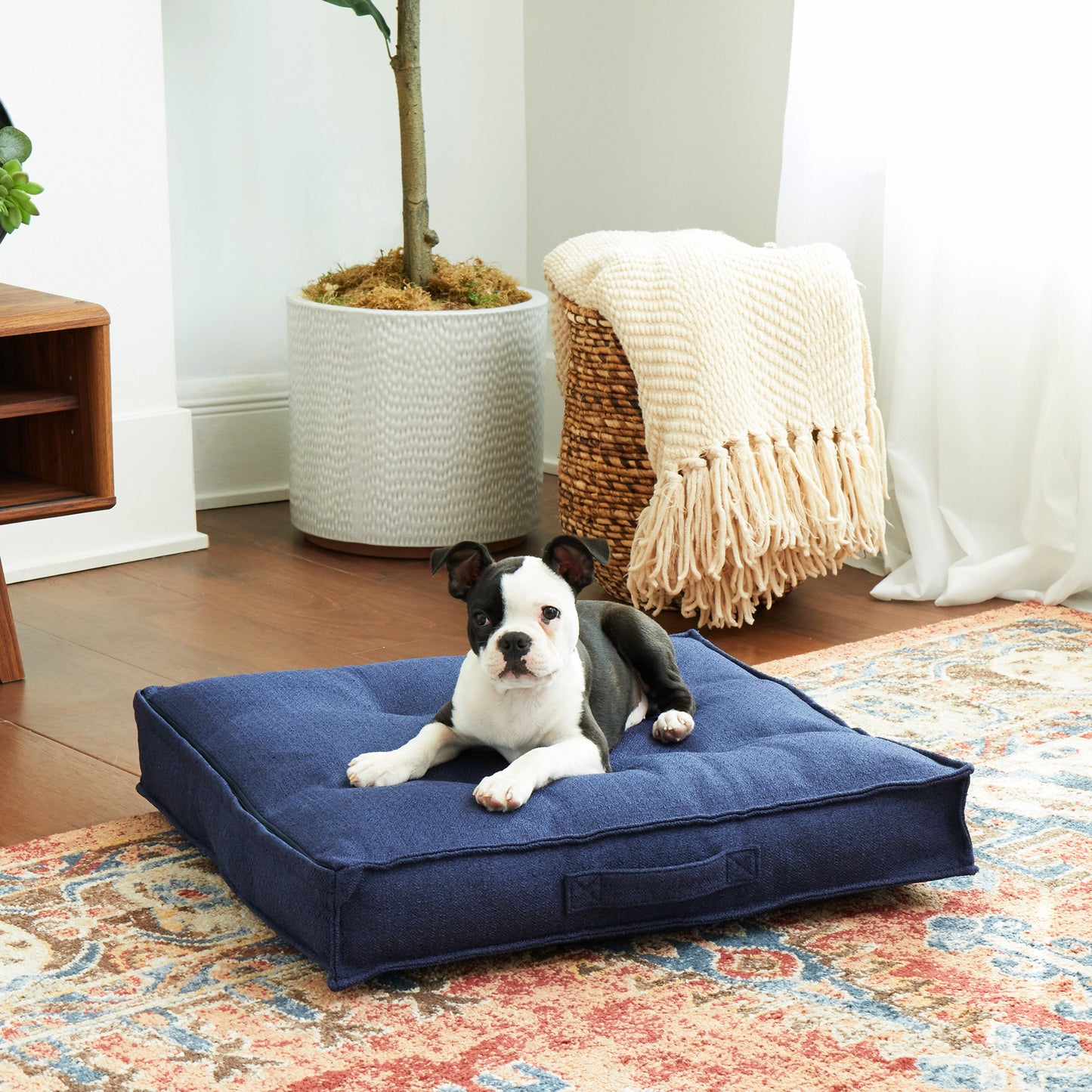 Milo Square Tufted Dog Bed