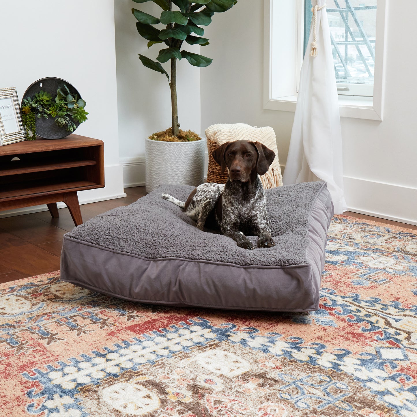 Buster Rectangle Sherpa Top Pillow Dog Bed