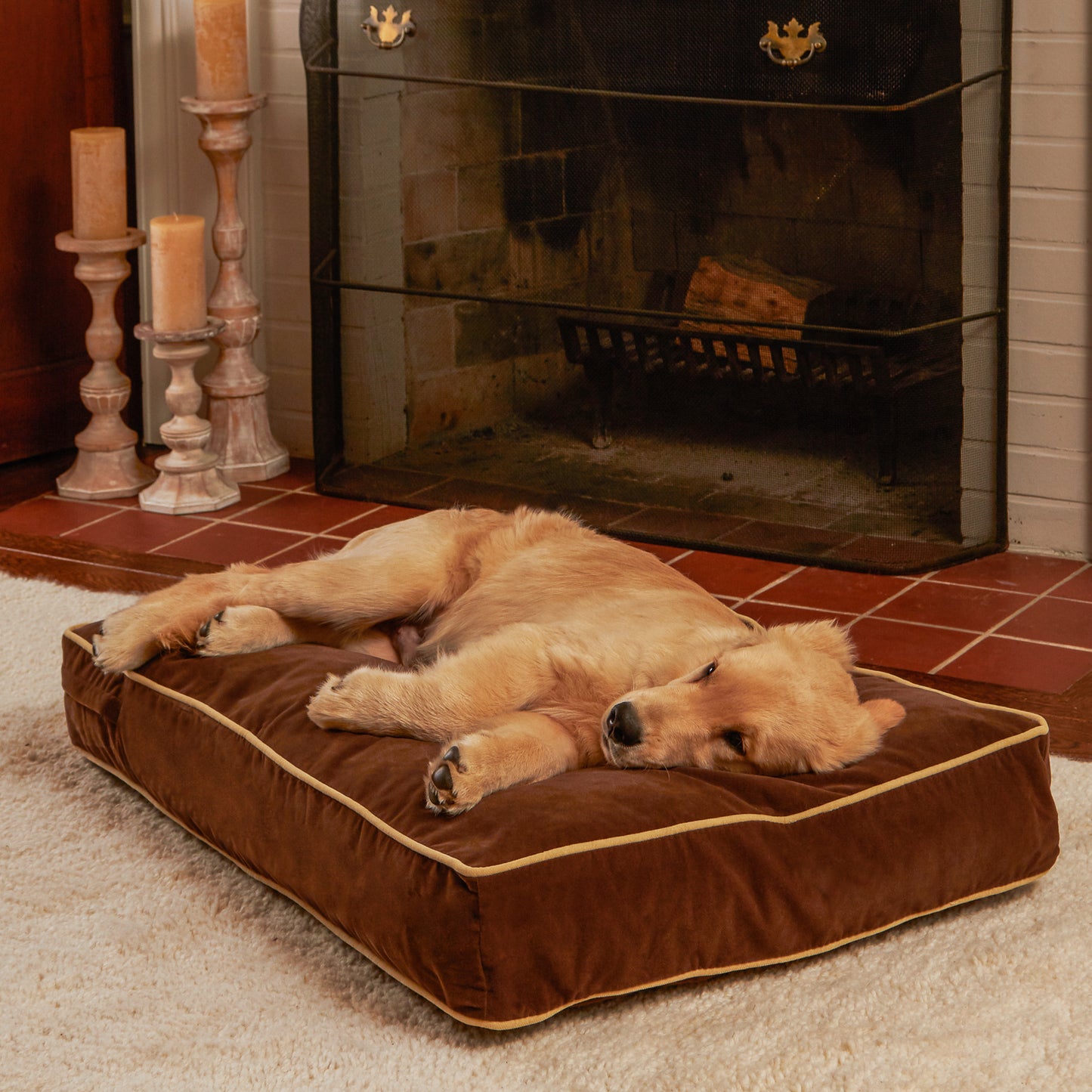 Buster Rectangle Microfiber Pillow Dog Bed