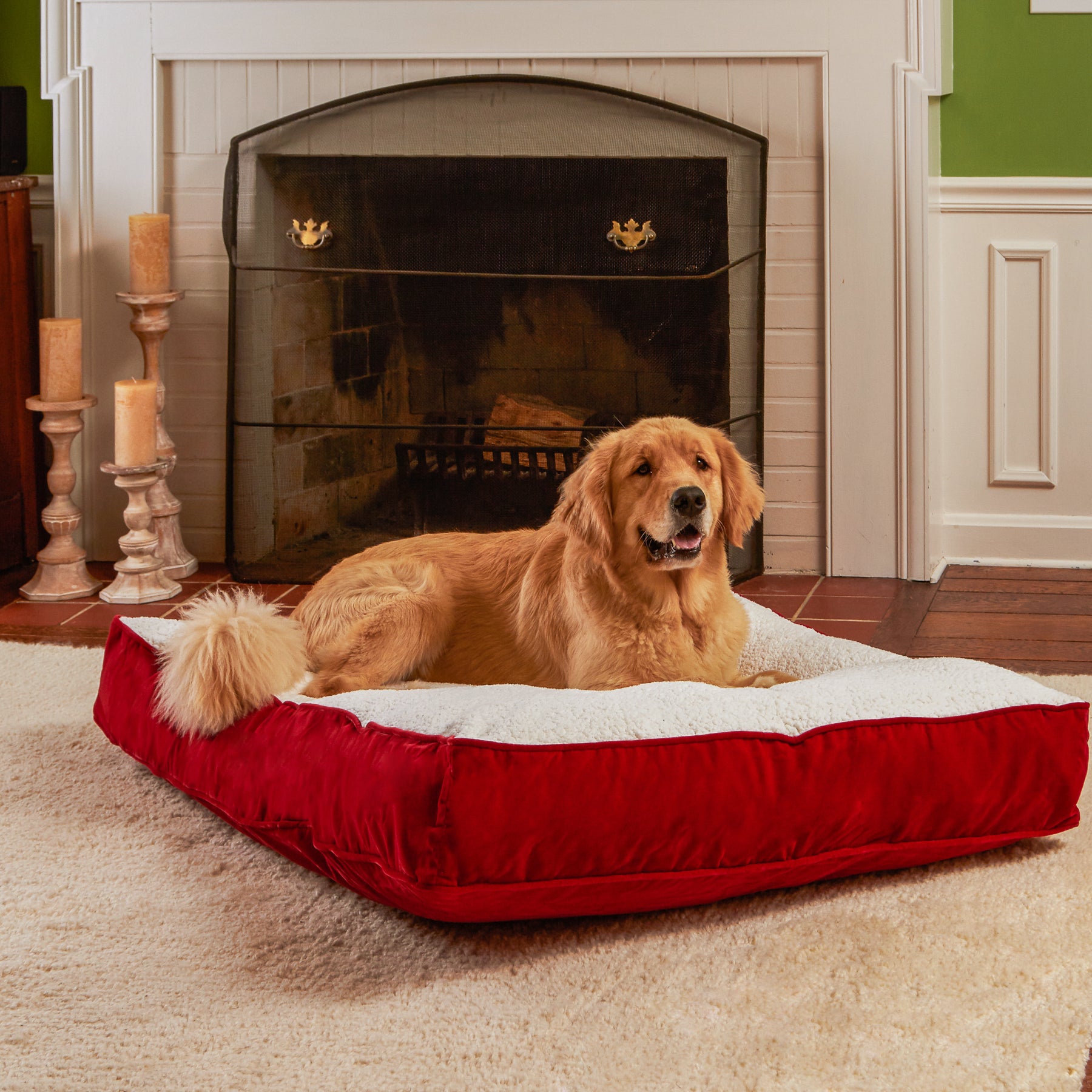 Buster Rectangle Sherpa Top Pillow Dog Bed - Main Image