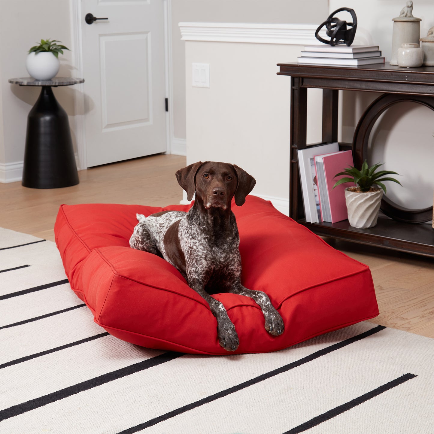 Casey Rectangle Outdoor/Indoor Pillow Bed