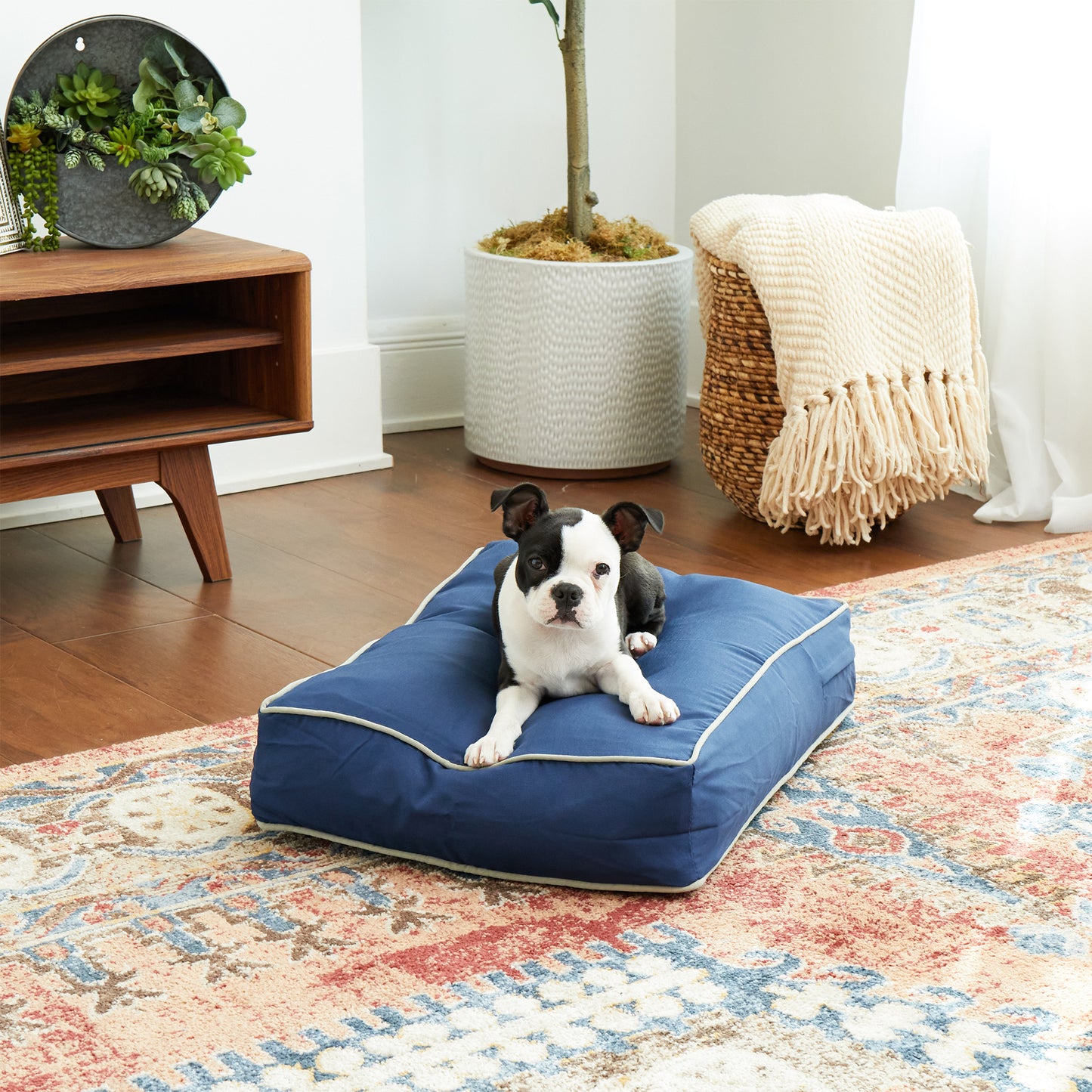 Casey Rectangle Outdoor/Indoor Pillow Bed