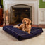 Casey Rectangle Outdoor/Indoor Pillow Bed