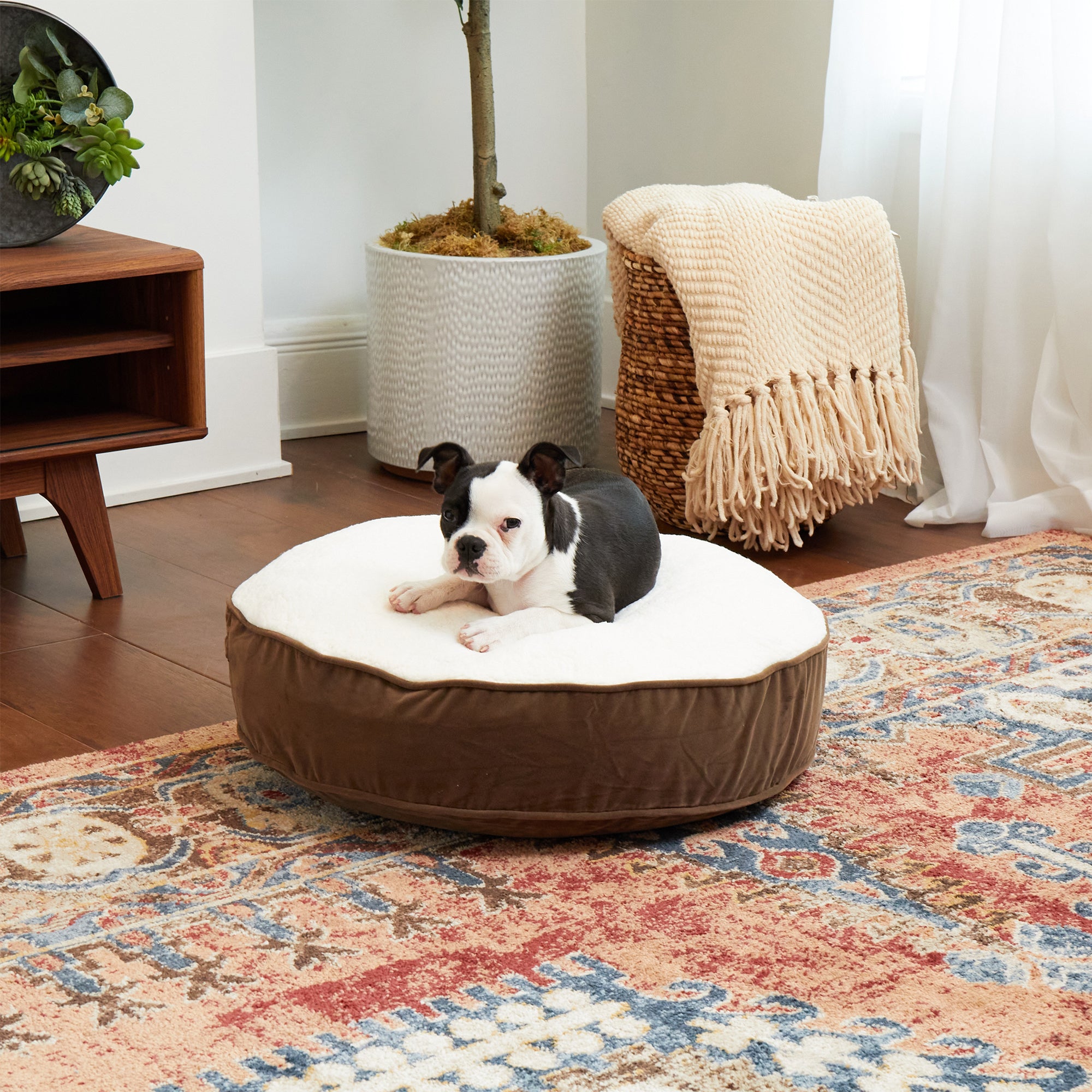 Happy hounds deluxe buster dog bed hotsell