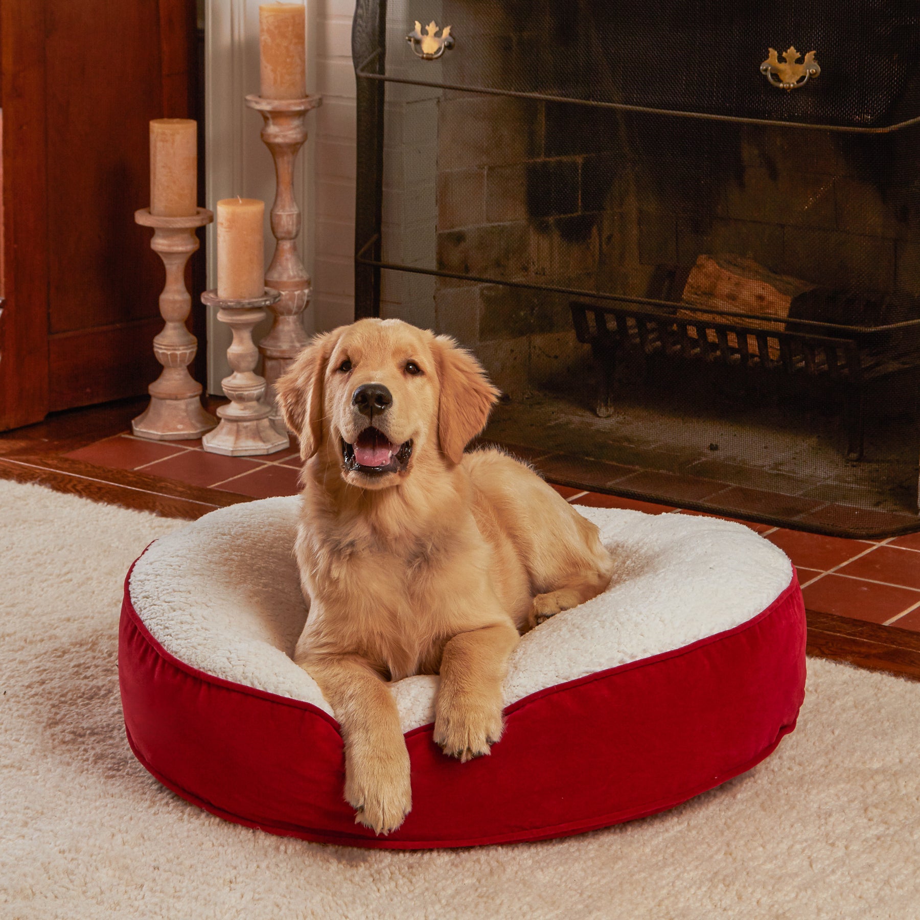 Scout Deluxe Round Sherpa Top Pillow Dog Bed - Main Image