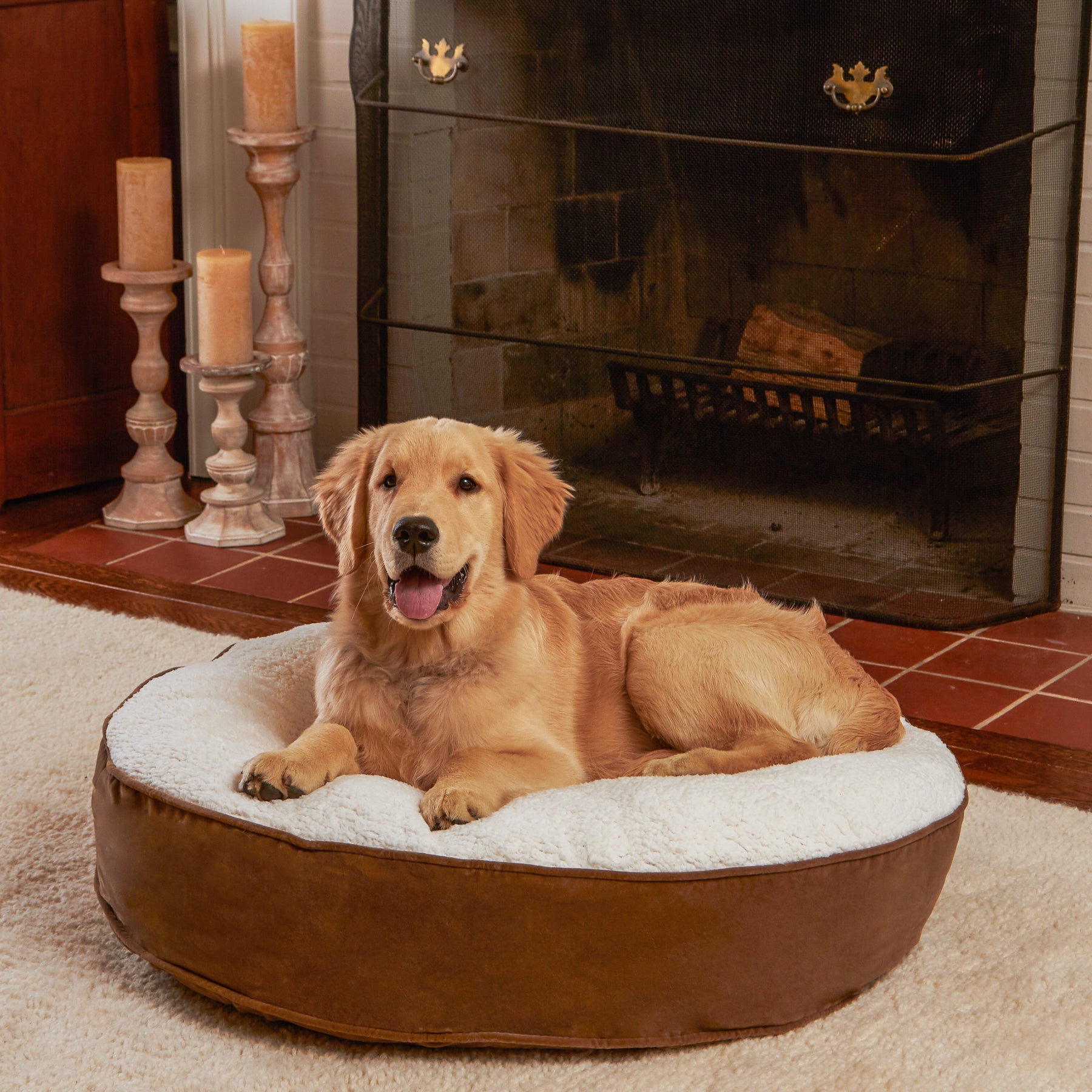 Happy hounds deluxe online buster dog bed