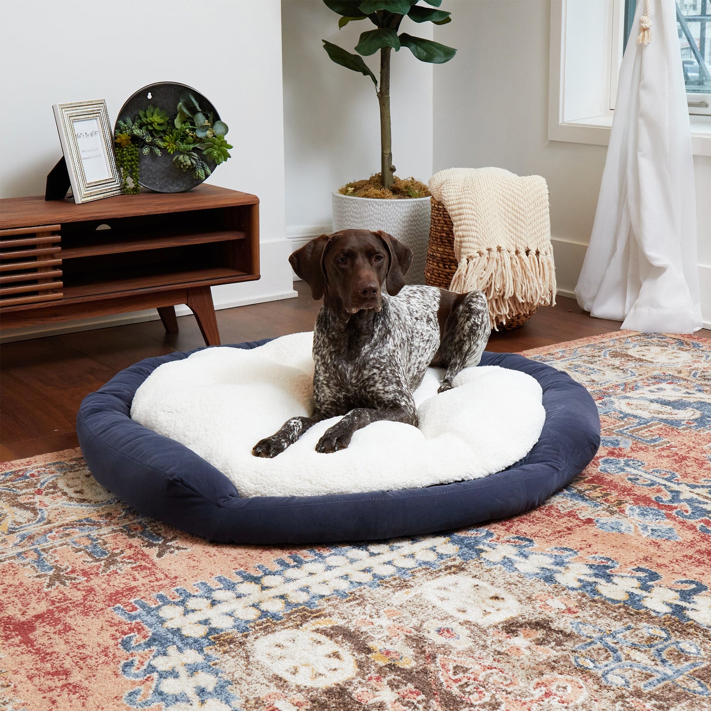 Murphy Donut Dog Bed