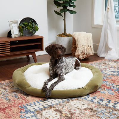 Murphy Donut Dog Bed