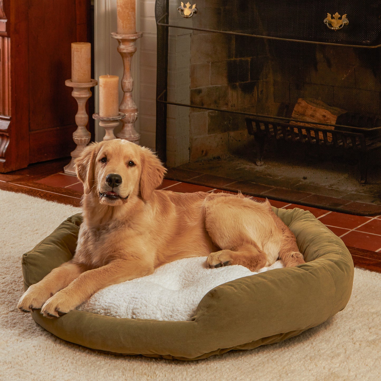 Murphy Donut Dog Bed