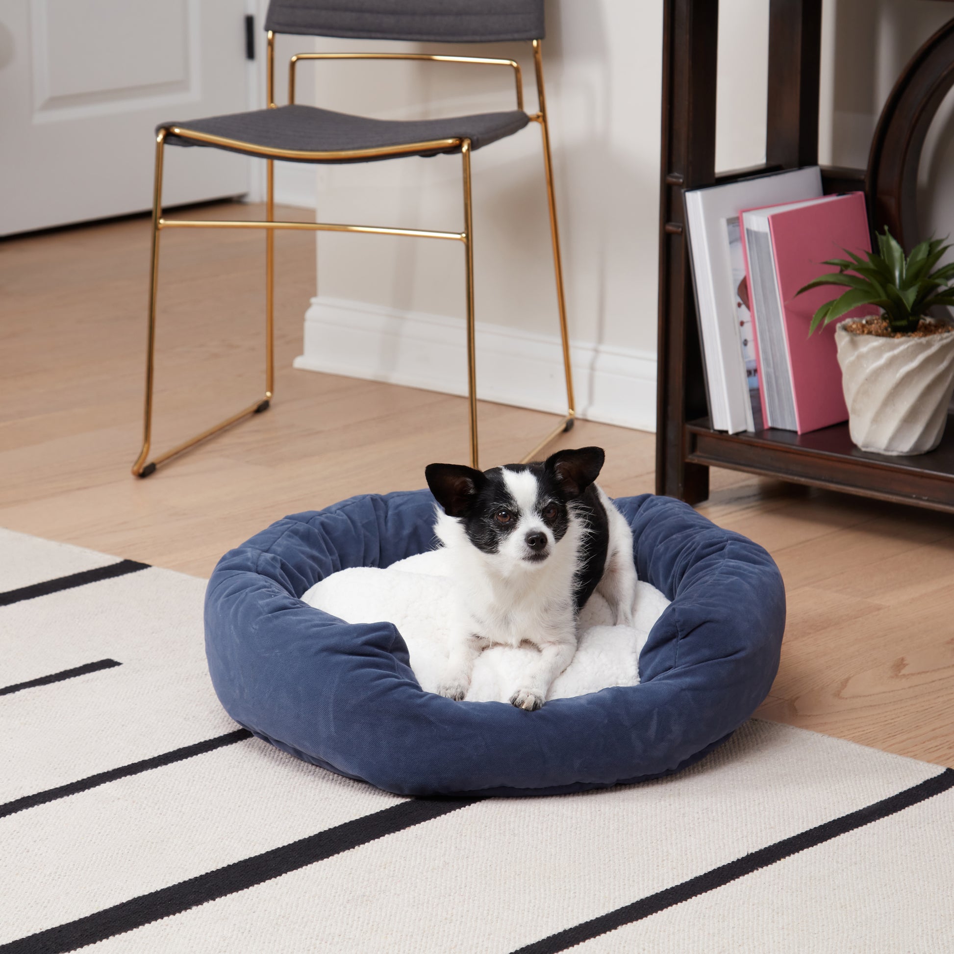 Happy Hounds Casey Medium Rectangle Indoor/Outdoor Navy Dog Bed