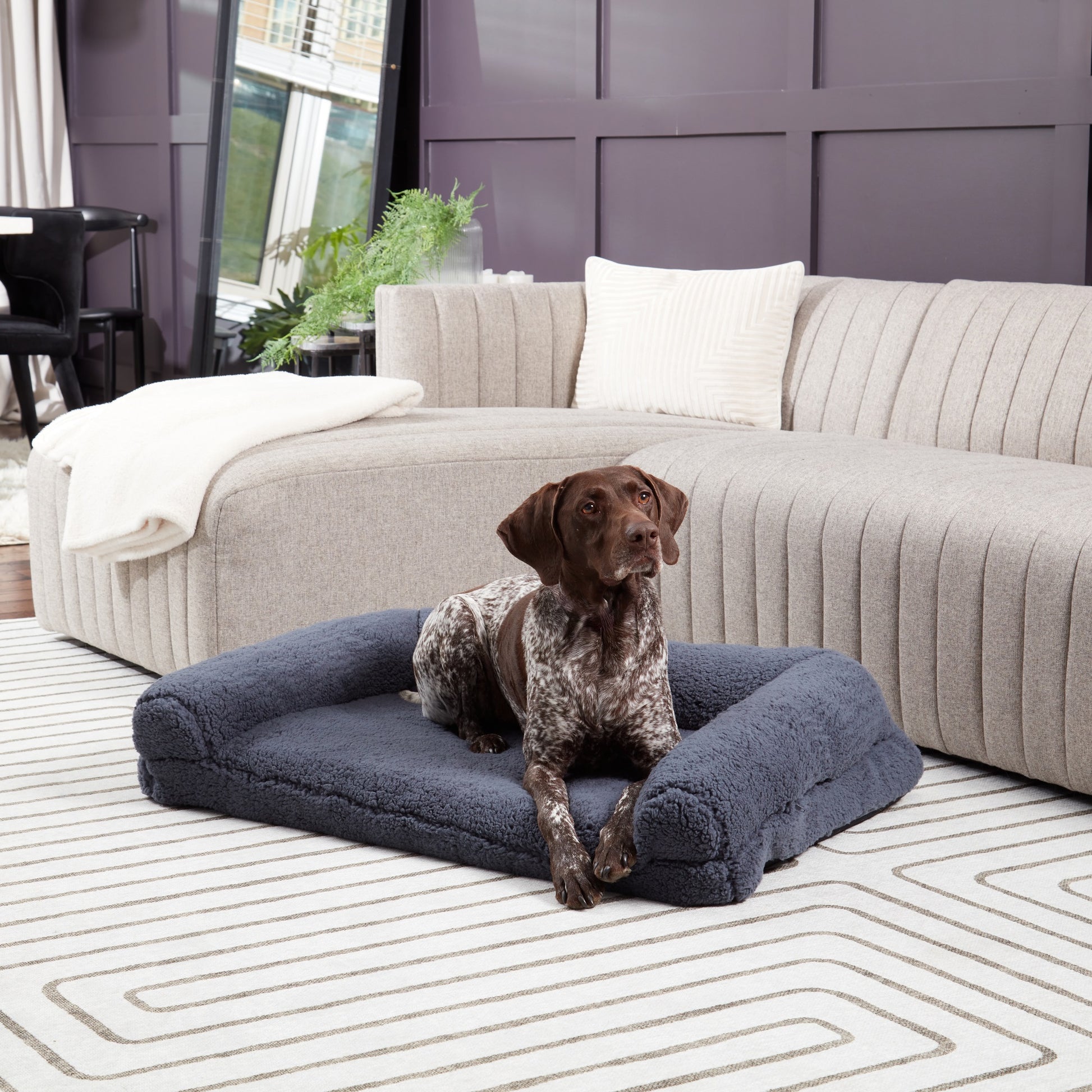 Millie Sherpa Sofa Dog Bed - Main Image