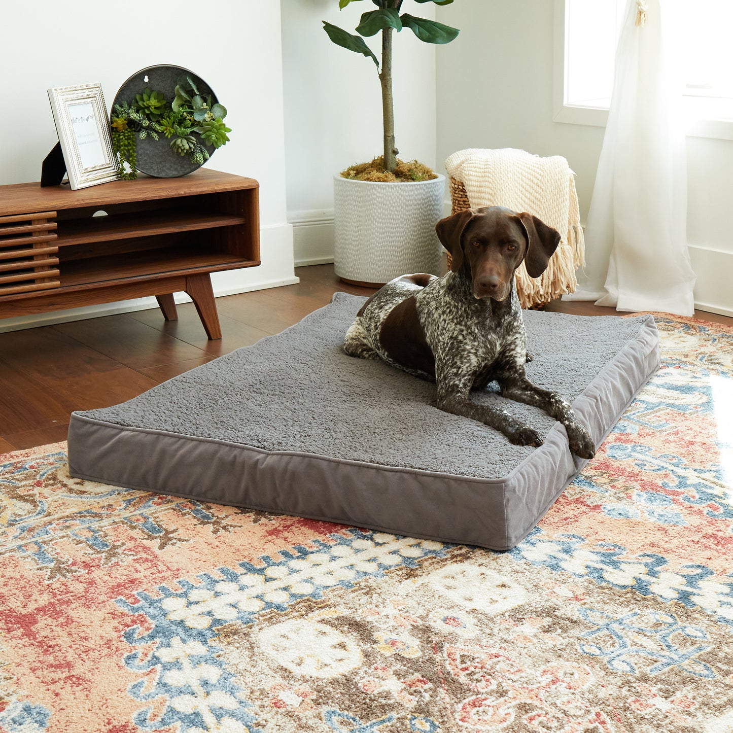 Oscar Orthopedic Dog Bed