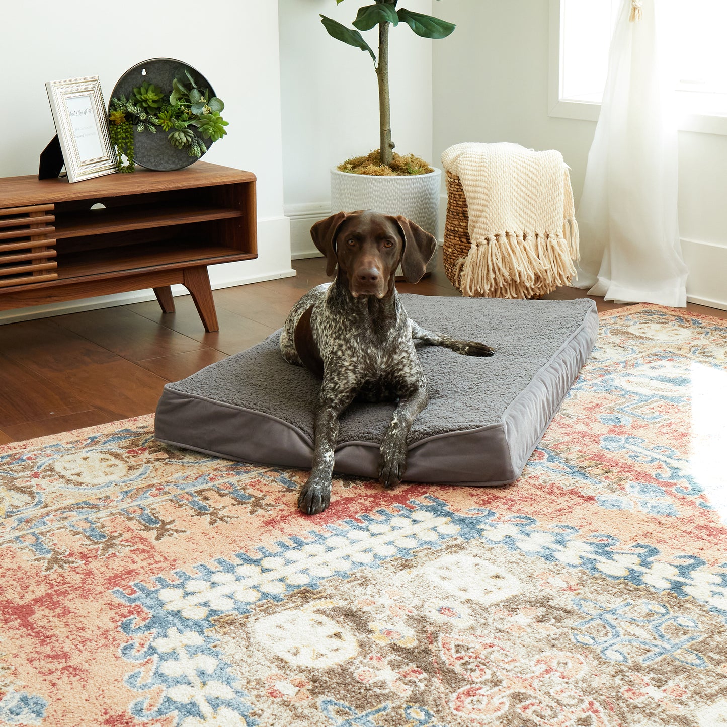 Oscar Orthopedic Dog Bed