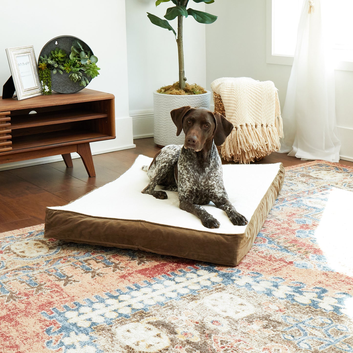 Oscar Orthopedic Dog Bed