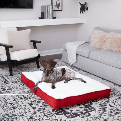 Daisy Rectangle Supportive Dog Bed