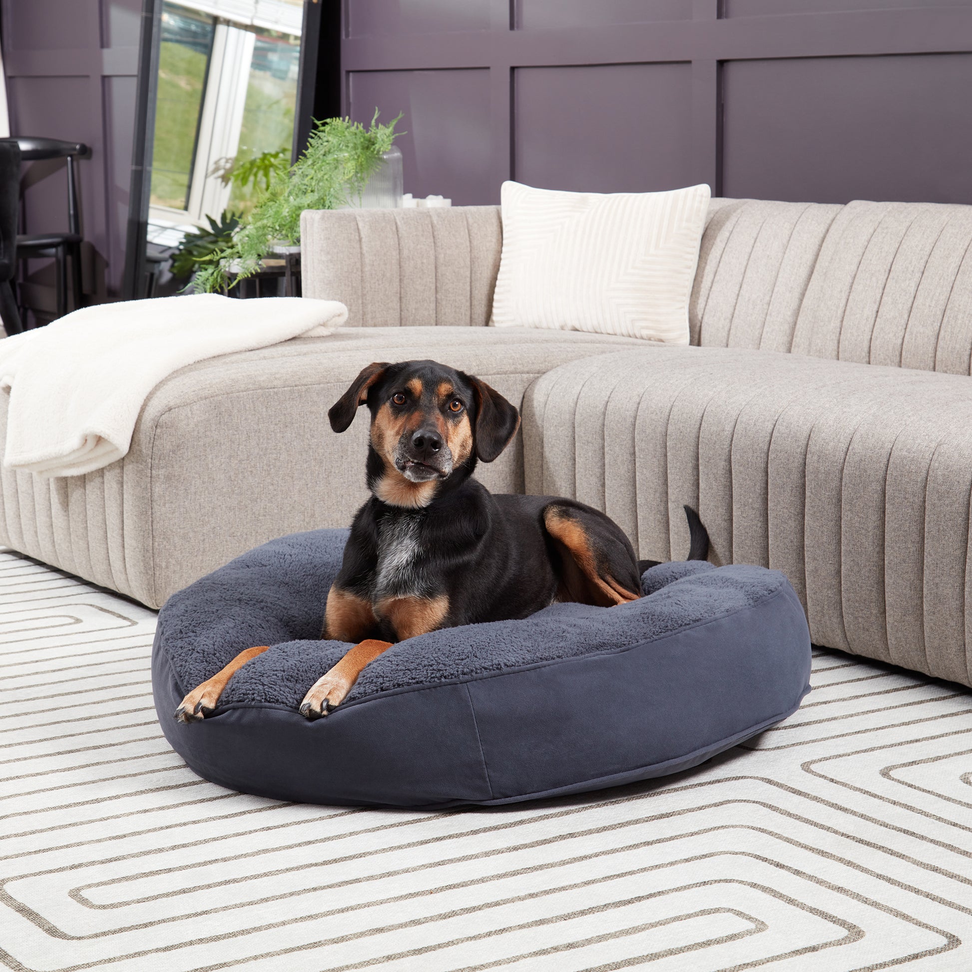 Scout Deluxe Round Sherpa Top Pillow Dog Bed – Happy Hounds Pet
