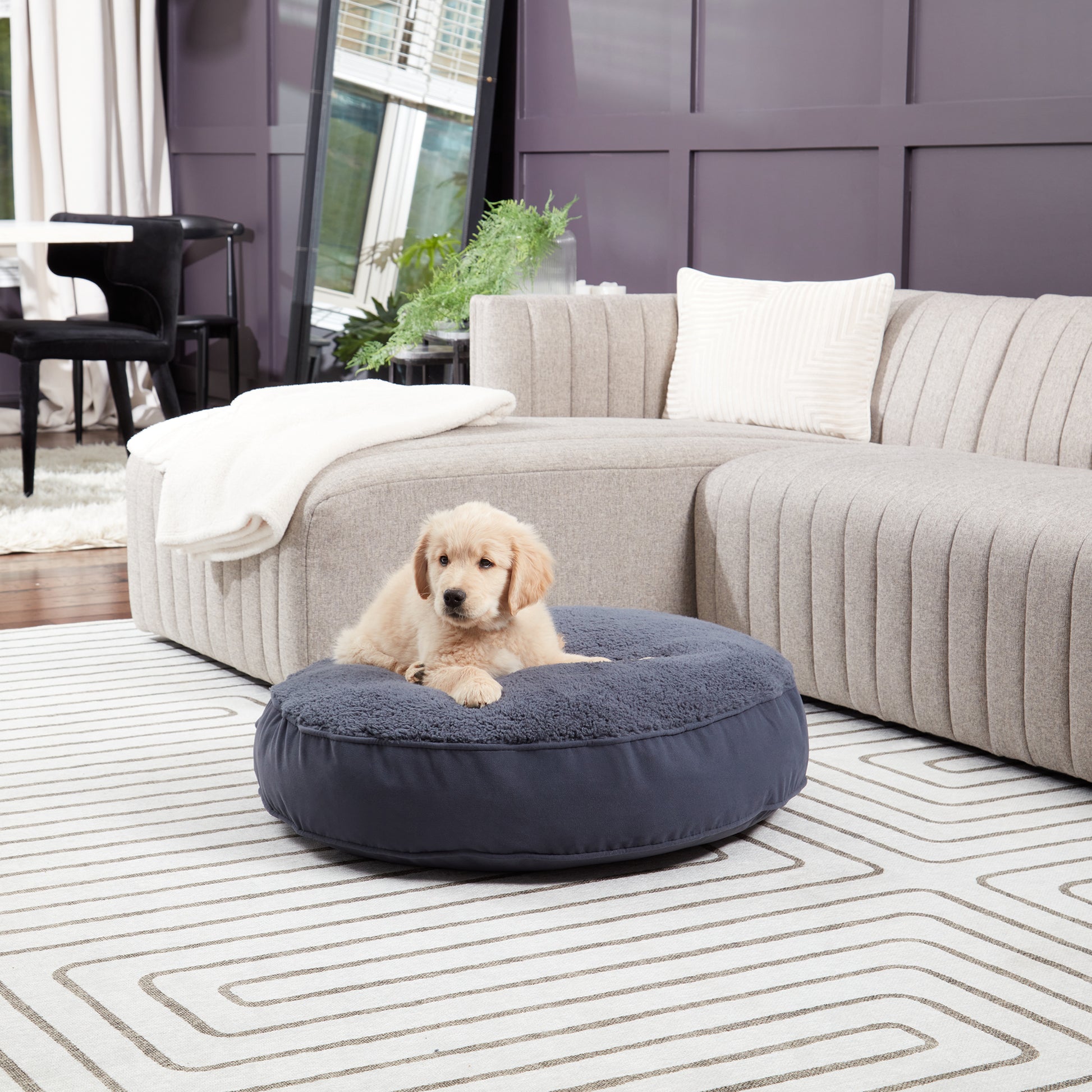 Scout Deluxe Round Sherpa Top Pillow Dog Bed – Happy Hounds Pet