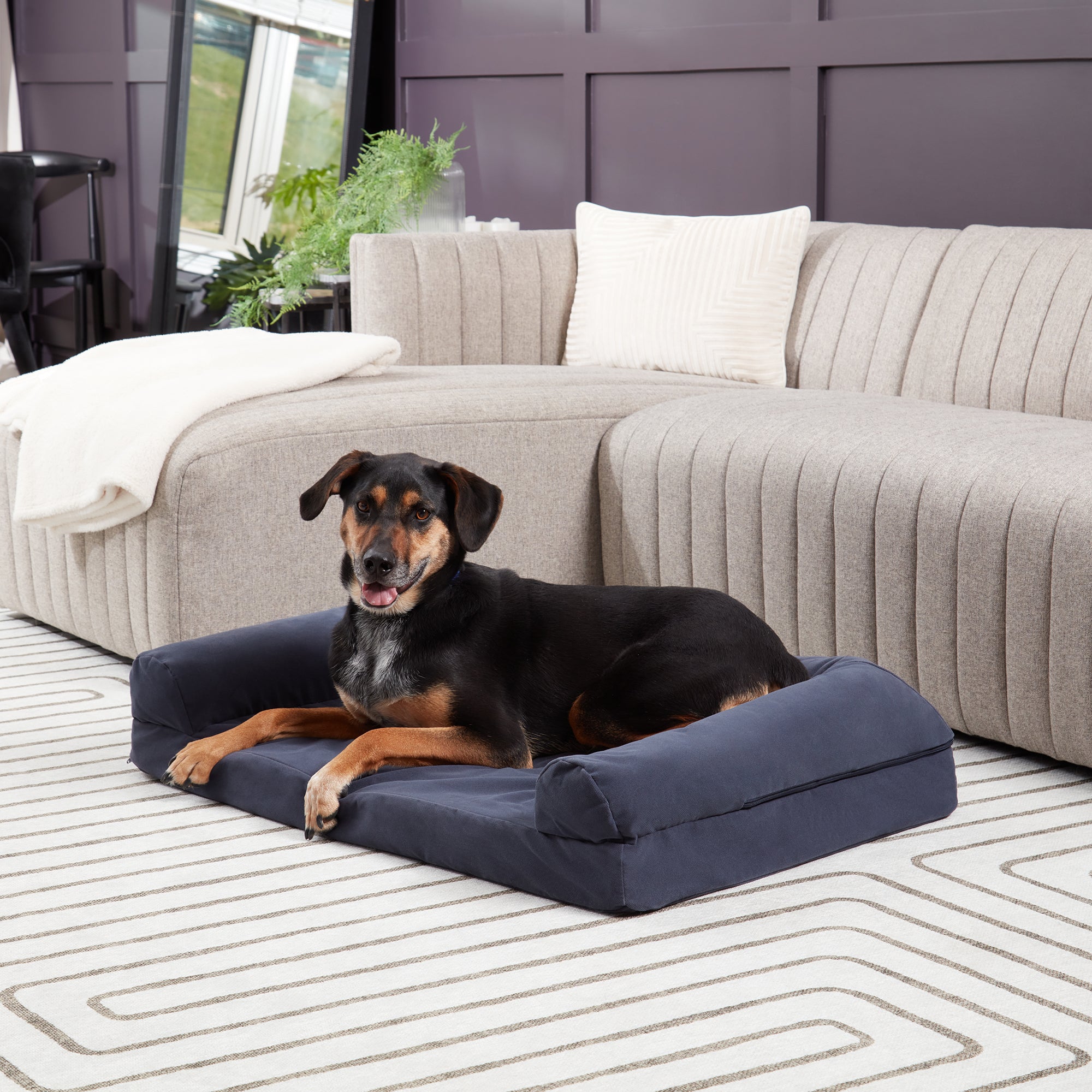 Happy hounds orthopedic dog bed sale