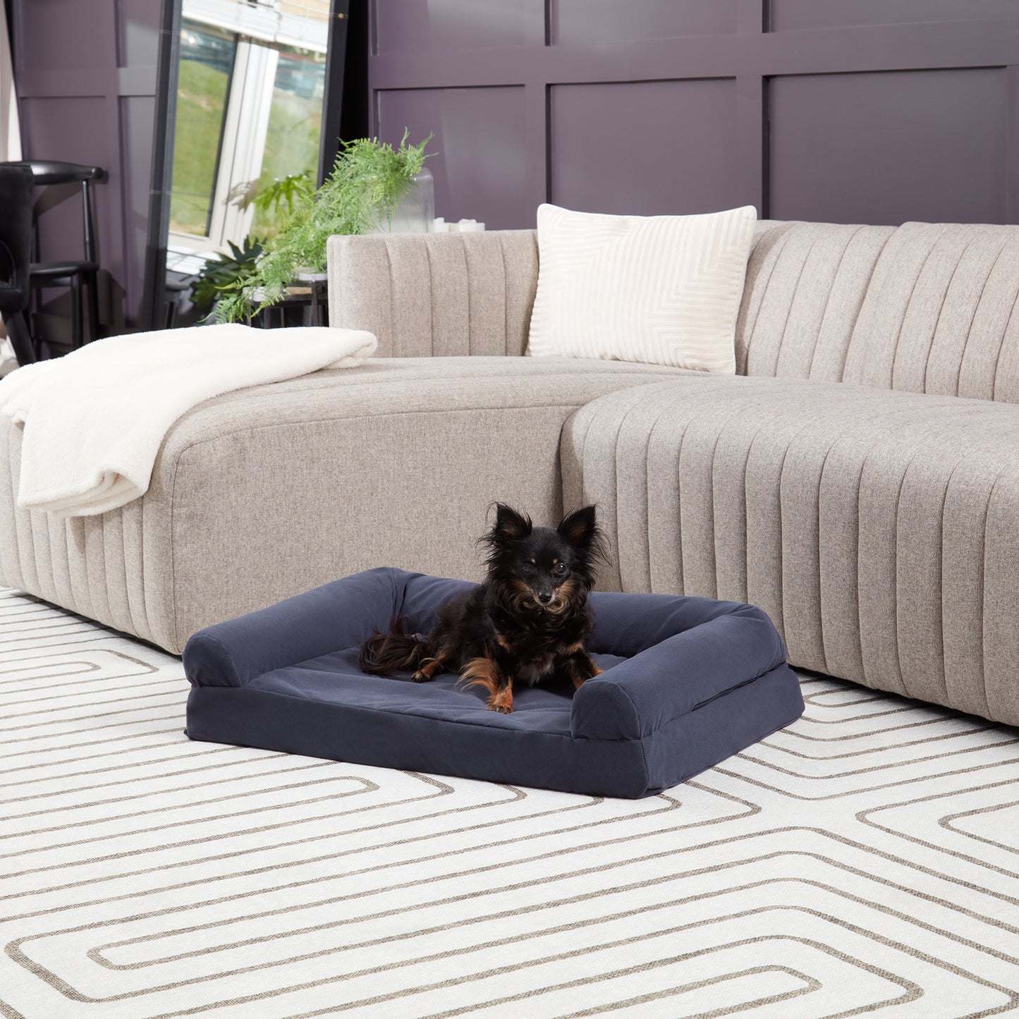 Luna Sofa Dog Bed