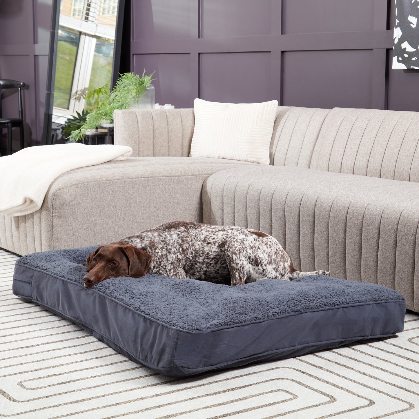 Daisy Rectangle Supportive Dog Bed