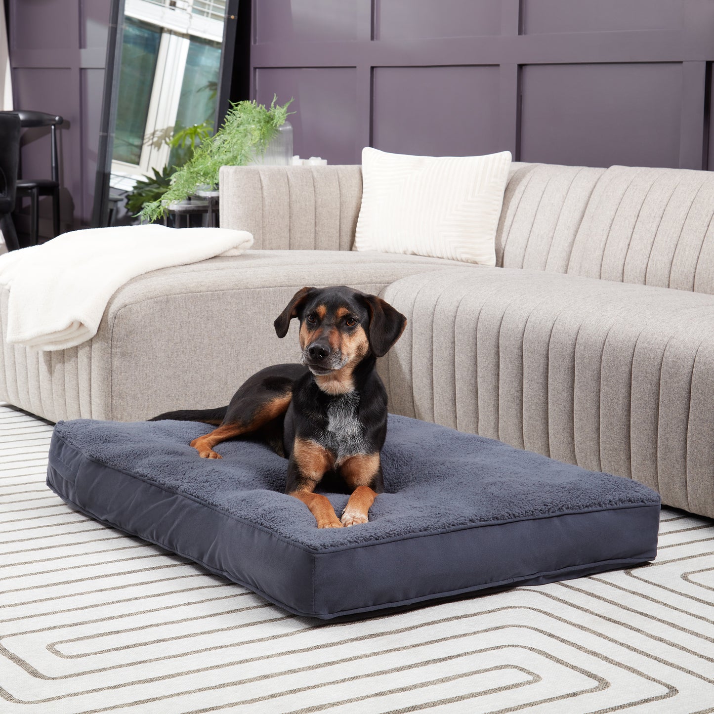 Daisy Rectangle Supportive Dog Bed